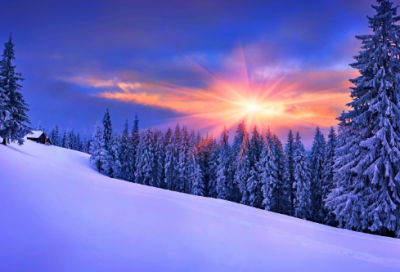 ​关于2024下午茶的朋友圈句子_跟闺蜜喝咖啡吃点心的心情说说