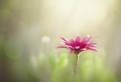 ​2024年国庆假期结束不想上班心情说说文案80句（精选推荐）