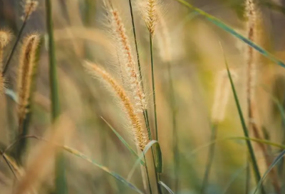 ​再见7月你好8月心情语录100句_8月抖音很火的文案2024（精选推荐）