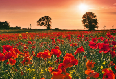 ​送孩子上大学的心情短语（精选推荐）