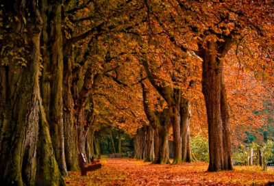 ​关于新的一天新的开始说说 新的一天美好心情句子