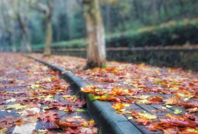 ​九月再见十月你好朋友圈心情说说文案（精选推荐）