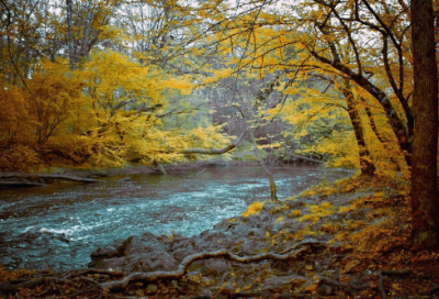 ​关于告别6月迎接7月的说说简约心情文案