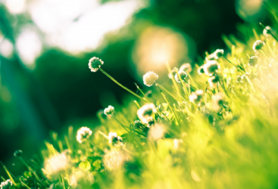 ​适合七夕收到礼物发朋友圈的心情短语大全（精选推荐）