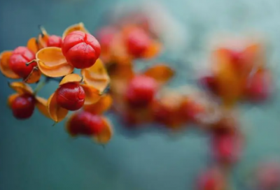 ​关五月已过六月你好最新心情语录_六月你好小清新说说文案（精选推荐）