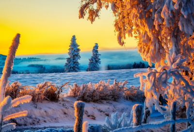 ​关于早安精美语句 新的一天美好心情句子