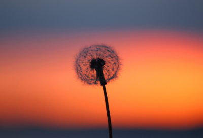 ​十月你好心情唯美语录（精选推荐）
