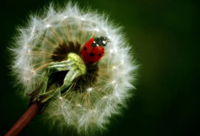 ​关于6月再见7月你好朋友圈文案心情句子