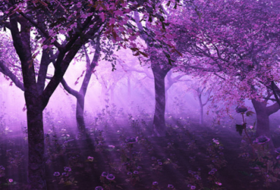 ​关于圣诞节朋友圈心情说说简约文案