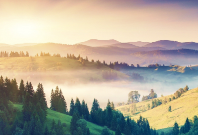 ​关于2024五一劳动节心情幽默说说