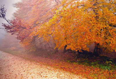 ​2024十月你好简短精致的美好心情文案100句（精选）