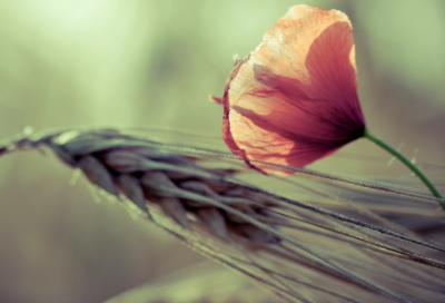 ​关于安慰人心情不好的话（精选推荐）