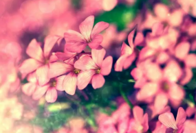 ​关于开导心情不好暖心的话 朋友心情低落怎么安慰