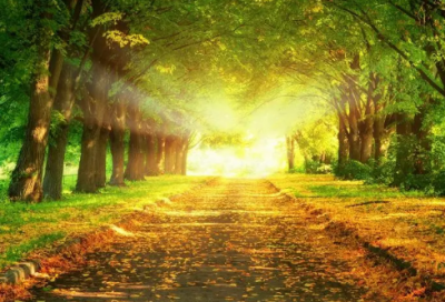 ​关于安慰朋友的暖心句子 劝人心情好起来的句子