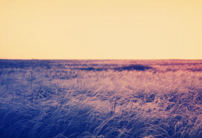 ​心彻底凉透了心情说说（精选推荐）