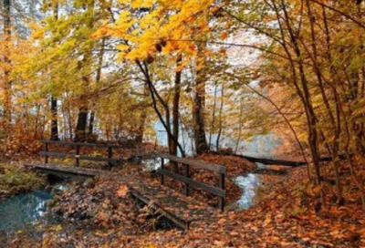 ​心情愉悦的唯美句子摘抄大全（精选推荐）