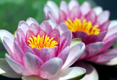 ​很忙很累的心情说说（精选推荐）