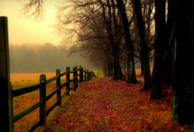 ​关于简单生活心态的句子 感悟生活的心情说说