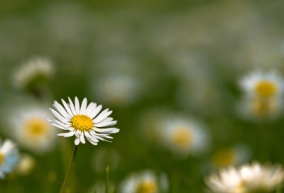 ​关于每日一句晚安心语心情很压抑的说说