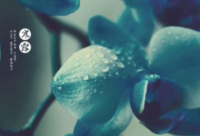 ​雨心情说说（精选推荐）