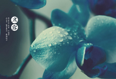 ​雨心情说说（精选推荐）