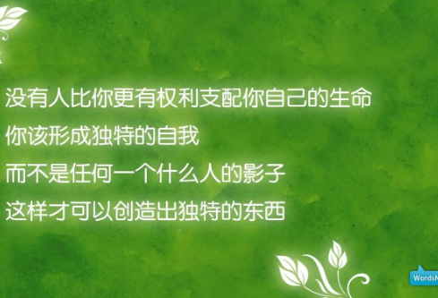 ​关于朋友圈旅游心情短语 旅游发圈的简单一句话