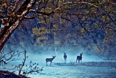 ​烦恼句子说说心情大全（精选100句）