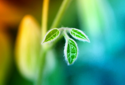 ​关于出去玩的心情发朋友圈 出去玩晒朋友圈短句