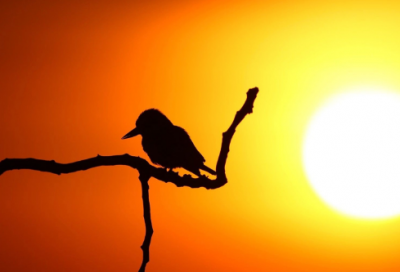 ​关于工作后的各种心情经典说说合集