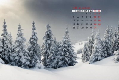 ​关于春天花开的唯美句子 拍照赏花的心情说说