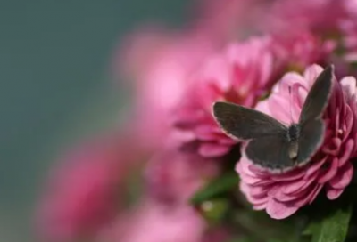 ​适合下雨天发的朋友圈心情文案短句摘抄大全（精选推荐）