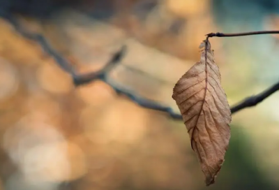 ​雨天的心情说说深夜（精选推荐）