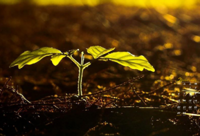 ​关于发到朋友圈里希望有一个人能懂自己的伤感心情说说合集