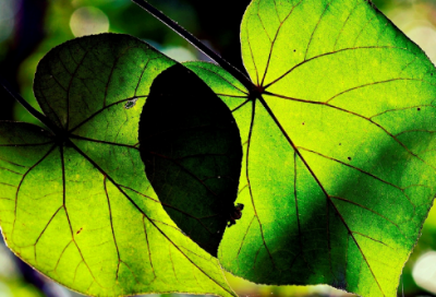 ​关于下雨天感到心累的心情说说_阴天低落沮丧的朋友圈