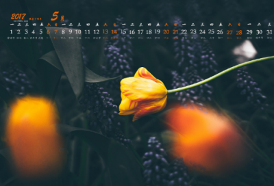 ​关于十月心情唯美说说文案（100句）