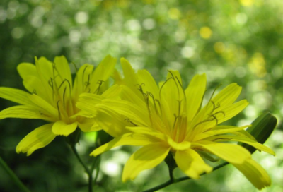 ​关于熬夜的说说_适合熬夜失眠发的心情句子