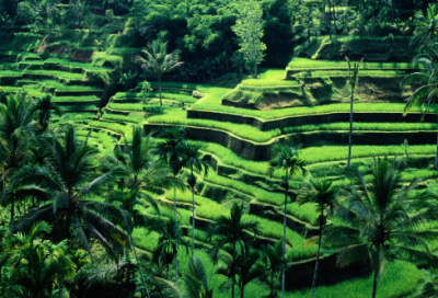 ​人走茶凉唯美句子_人走茶凉的心情语句摘抄大全（精选推荐）