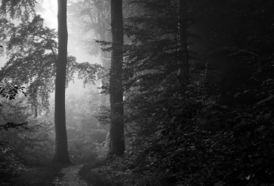 ​关于旅行的句子唯美短句 一个人旅行散心的心情