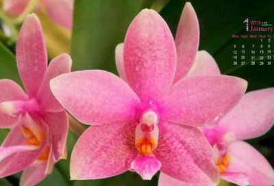 ​关于2024最经典的心情说说 经典句子说说心情