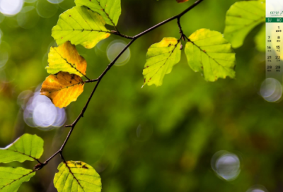 ​关于沙尘暴天气的心情说说 描述沙尘暴天气的句子