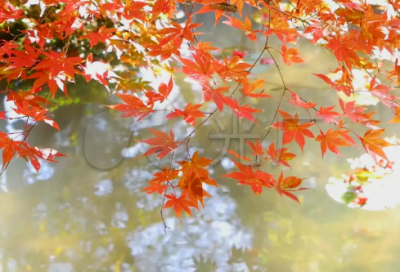 ​关于玩一天愉快的心情说说 简单一日游发朋友圈