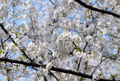 ​今晚失眠的心情说说摘抄大全（精选推荐）