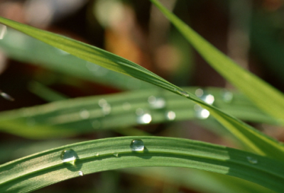 ​关于表达夜景的心情说说 夜景很美的句子