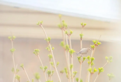 ​关于2024寒假在家无聊的心情说说_感到无聊时发的朋友圈句子