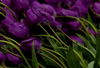 ​关于很烦很累的心情说说 活得好累好压抑的句子