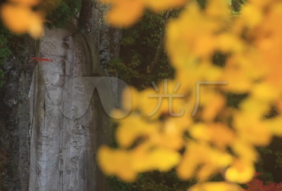 ​有哪些早安幸福的句子说说心情的句子（精选推荐）