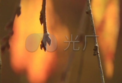 ​关于内心很压抑难受的说说 心情不好抑郁的说说