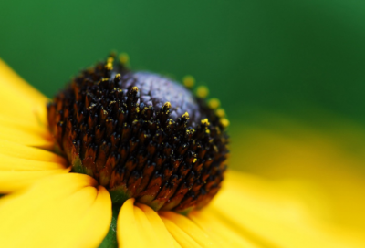 ​关于描述自己心情抑郁的句子