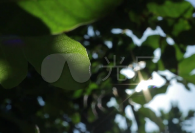 ​关于晚安心语发朋友圈文案 适合晚上发的说说心情短语