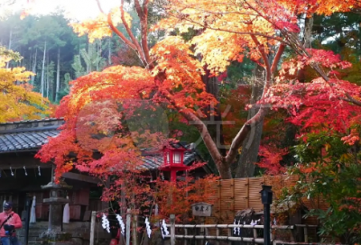 ​关于心累的句子说说心情图 身心疲惫 写给心累的自己